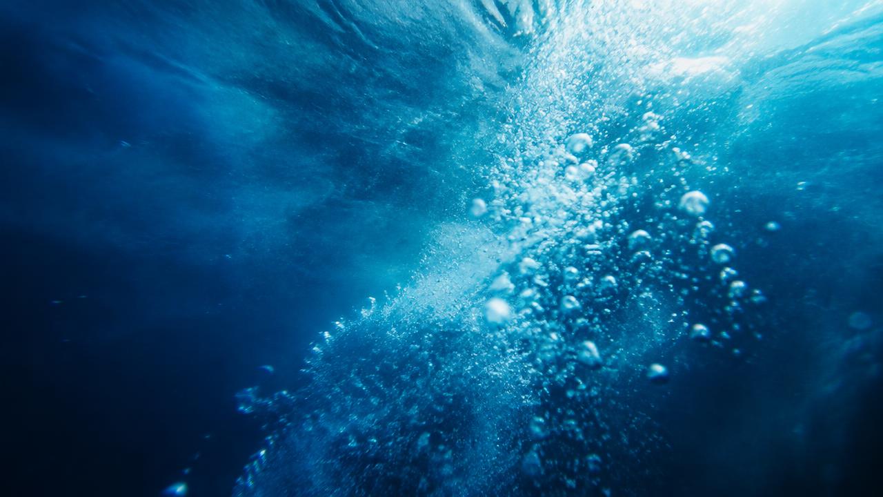 Pool illustration for The Business Side of Coaching: Why So Many Swim Club Founders Burn Out